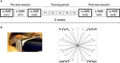 Age-Dependent Modulations of Resting State Connectivity Following Motor Practice